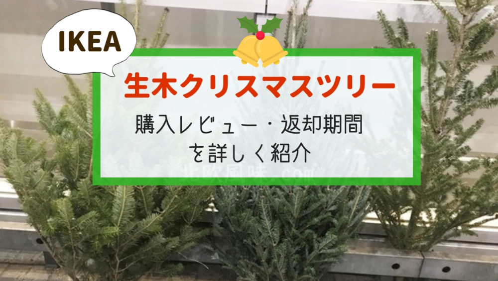 イケア生木クリスマスツリー